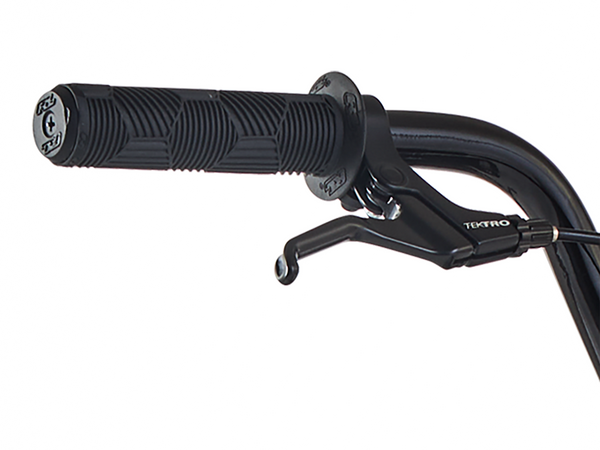 Redline Proline Expert 20" BMX Race Bike