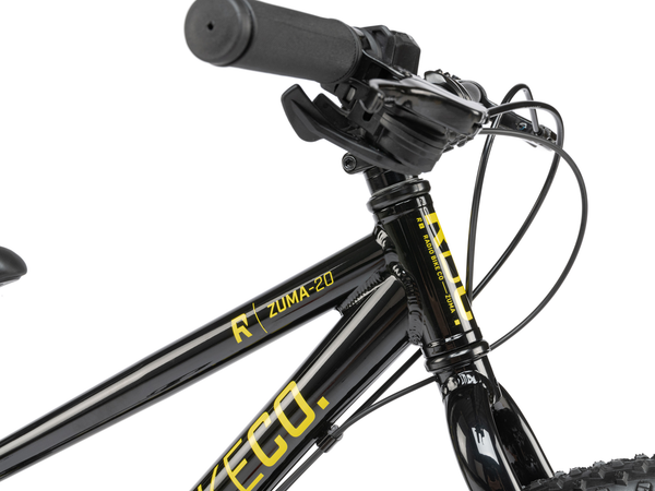 Radio Zuma 20" Bike (Black)