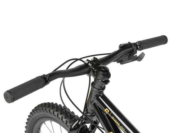 Radio Zuma 20" Bike (Black)