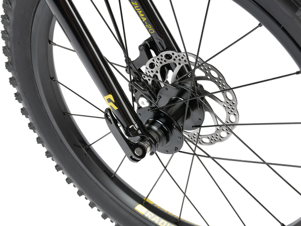 Radio Zuma 20" Bike (Black)