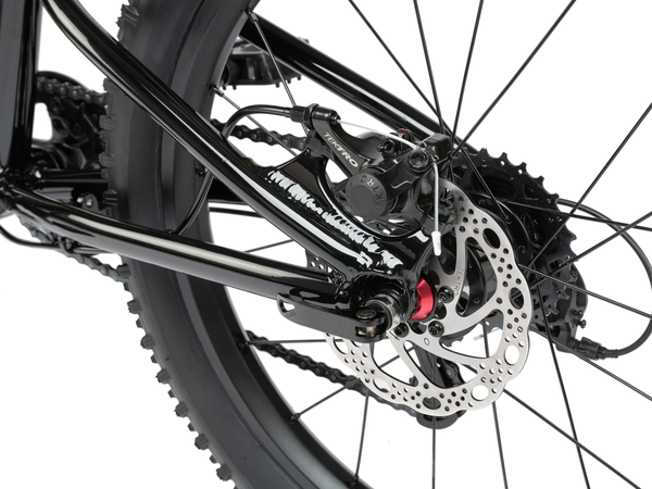 Radio Zuma 20" Bike (Black)