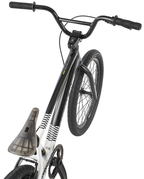 Redline Proline Expert 20" BMX Race Bike