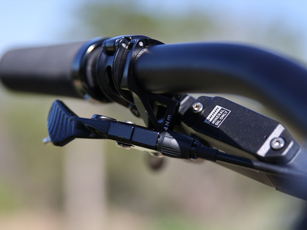 FAIRDALE 29" Elevator Bike