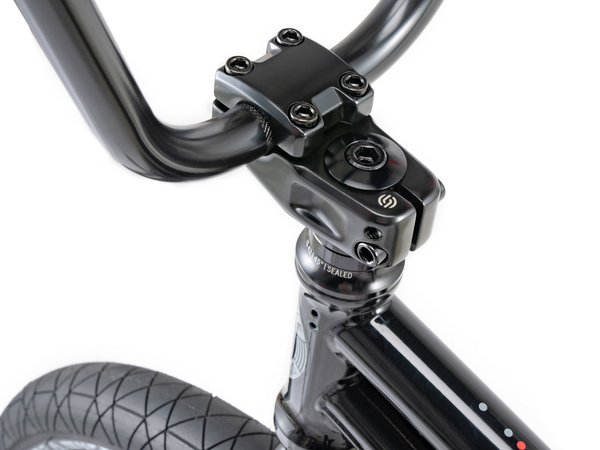 WETHEPEOPLE 20" Sinus Bike