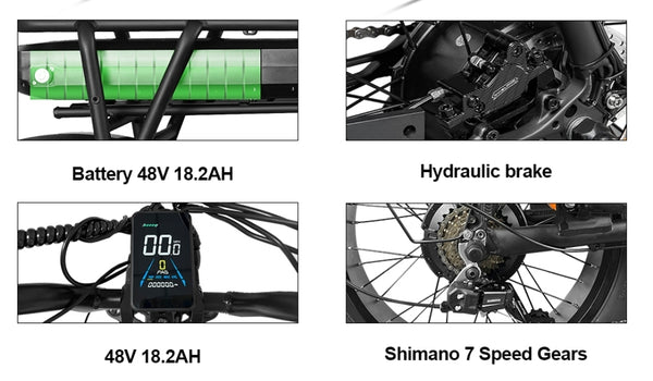 Vyron Racer Electric Bike