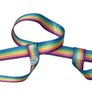 Derby Laces Skate Gear Leash 54 inch (137 cm) Pastel Rainbow Stripe