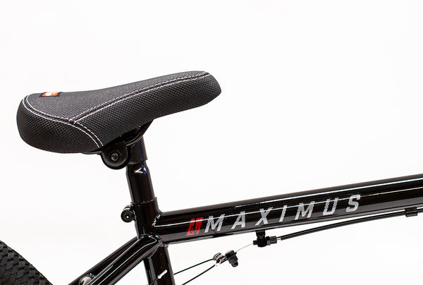 Division Maximus 26" BMX (Black)