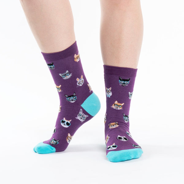 Sock it to me Smarty cat