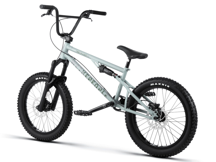 WeThePeople The Swampmaster 20" BMX Bike (Matt Grey)