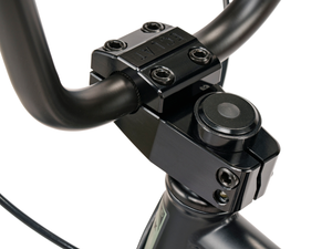 WeThePeople The Swampmaster 20" BMX Bike (Matt Black)