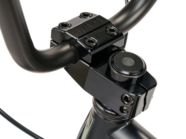 WeThePeople The Swampmaster 20" BMX Bike (Matt Black)