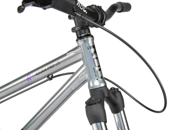 Radio Asura Pro 26" Dirt Jumper (Silver)