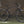 Fairdale Ridgemont 27.5
