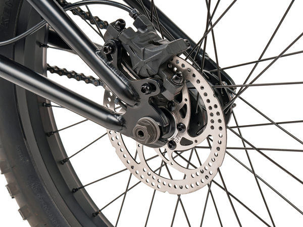 WeThePeople The Swampmaster 20" BMX Bike (Matt Black)