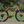 Fairdale Weekender Archer 27.5