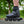 Powerslide Phuzion Radon Black 80 Inline Skates