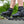 Powerslide Phuzion Radon Black 80 Inline Skates