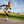 Powerslide Phuzion Argon Rose 80 Inline Skates