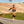 Powerslide Phuzion Argon Rose 80 Inline Skates