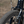Fairdale Ridgemont 27.5