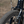 Fairdale Ridgemont 27.5" Bike 2022 (Gloss Black) Small/Medium