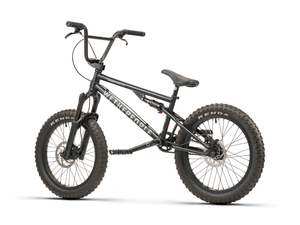 WeThePeople The Swampmaster 20" BMX Bike (Matt Black)