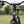 Fairdale Weekender Archer 27.5