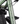 WeThePeople Revolver 20" BMX (Matt Translucent Racing Green)