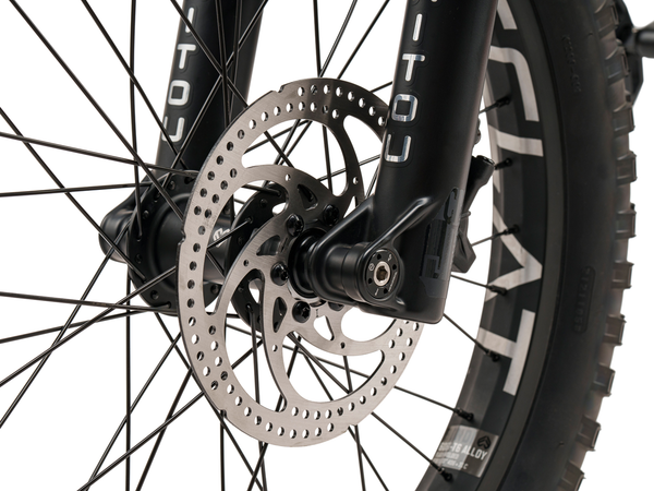 WeThePeople The Swampmaster 20" BMX Bike (Matt Black)