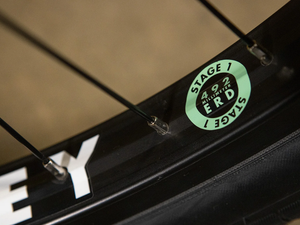 Sunday Model C 24" Bike