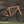 Fairdale Weekender Archer 27.5