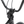 Radio Astron FS 20" BMX (Black Confetti)