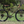 Fairdale Weekender Nomad 27.5