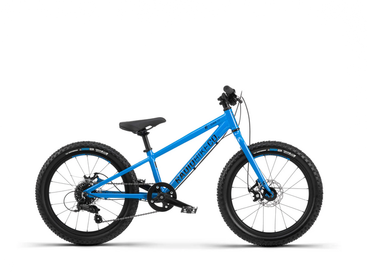 Radio Zuma 20" Bike (Cyan)