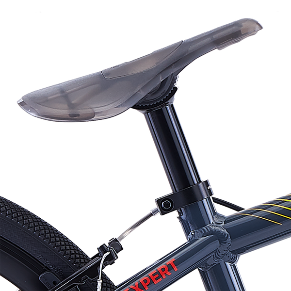 Redline MX Expert 20" BMX Race Bike