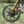 Fairdale Weekender Nomad 27.5