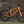 Fairdale Big Macaroni 24" Bike (Gloss Orange Soda) 2023