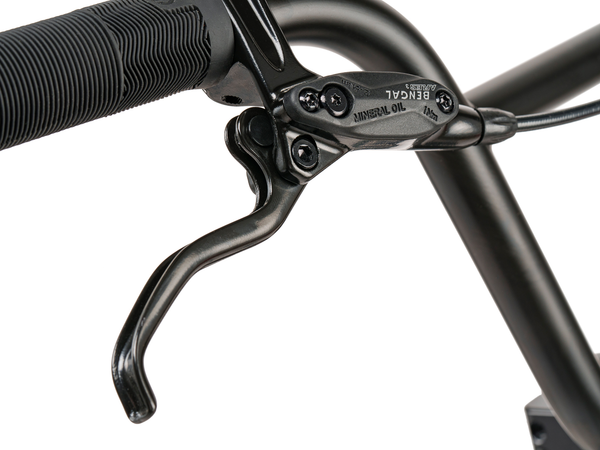 WeThePeople The Swampmaster 20" BMX Bike (Matt Black)