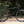 Fairdale Ridgemont 27.5