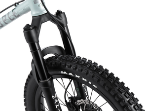WeThePeople The Swampmaster 20" BMX Bike (Matt Grey)