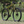 Fairdale Weekender Nomad 27.5