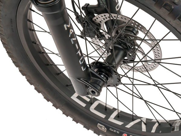 WeThePeople The Swampmaster 20" BMX Bike (Matt Black)
