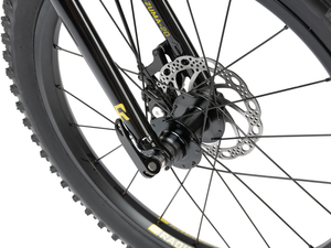 Radio Zuma 20" Bike (Black)