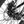 WeThePeople Havoc 20" BMX (Glossy Black)