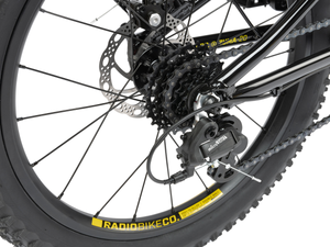 Radio Zuma 20" Bike (Black)