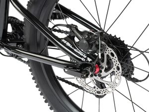 Radio Zuma 20" Bike (Black)