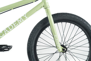 Academy Aspire 20" BMX (Matt Avocado)