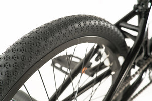 Colony Apprentice Flatland 20" BMX (Matte Apple Silver)