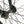 Colony Prody Pro 20