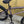 Colony Rico Elite 20" BMX (Clear Lavender)